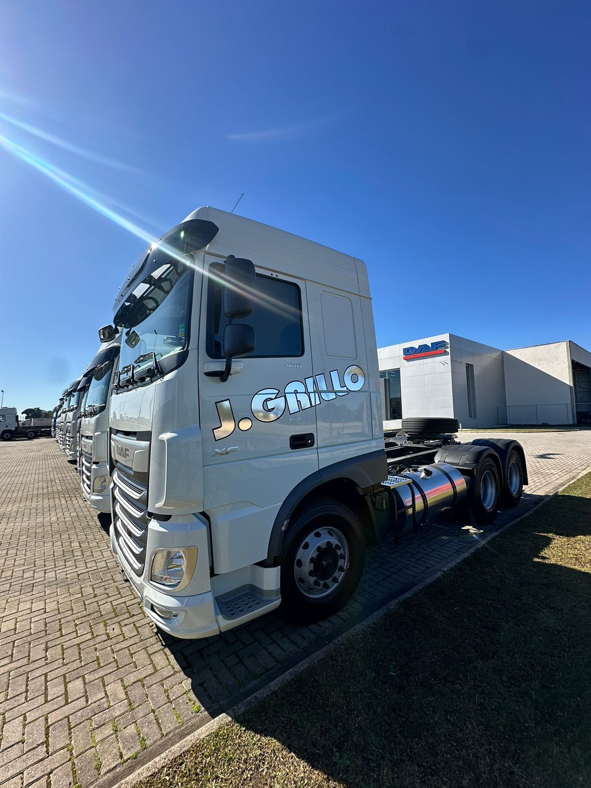 WhatsApp Image 2024-08-02 at 15.17.58 (1)