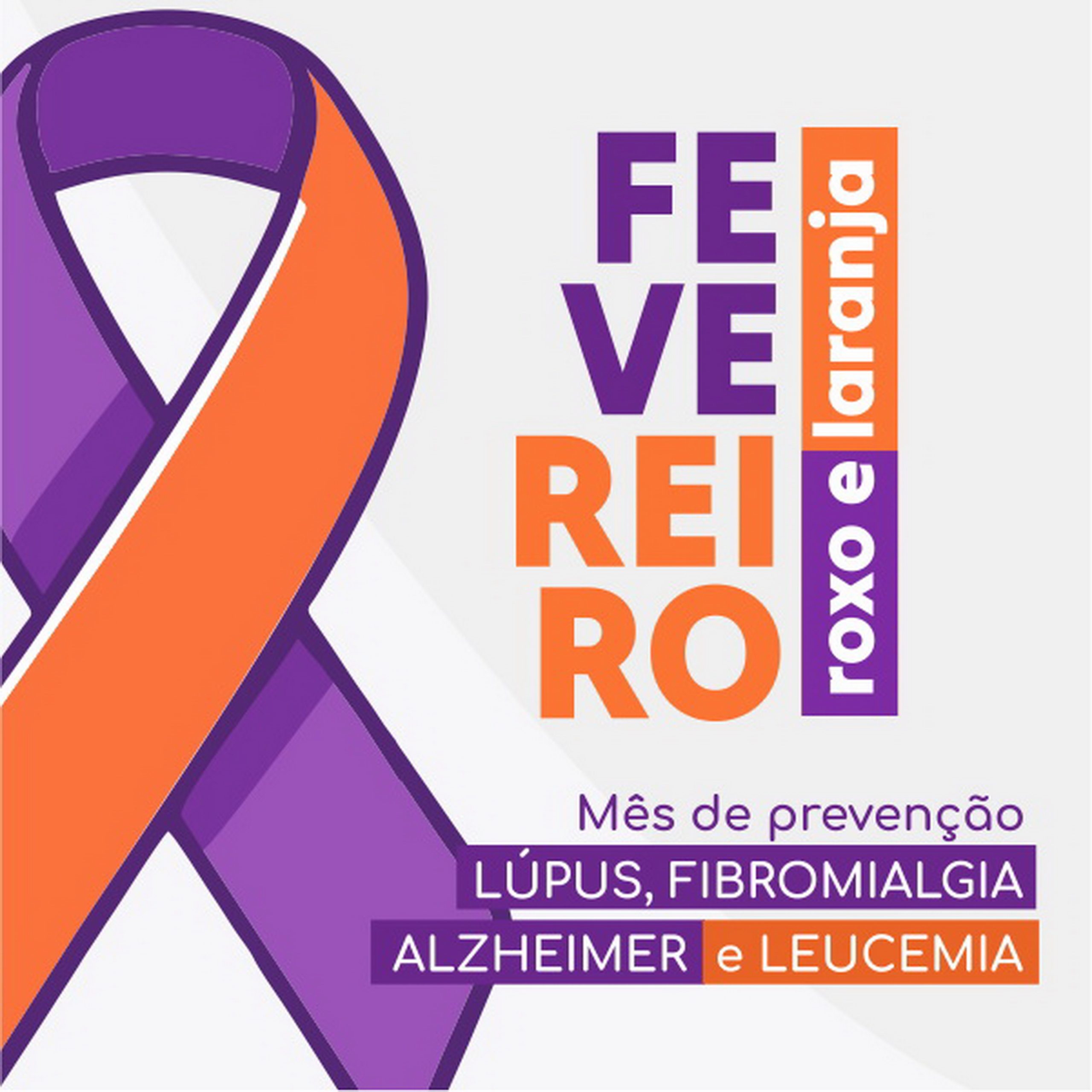 laranja-roxo-transporte-rodoviario